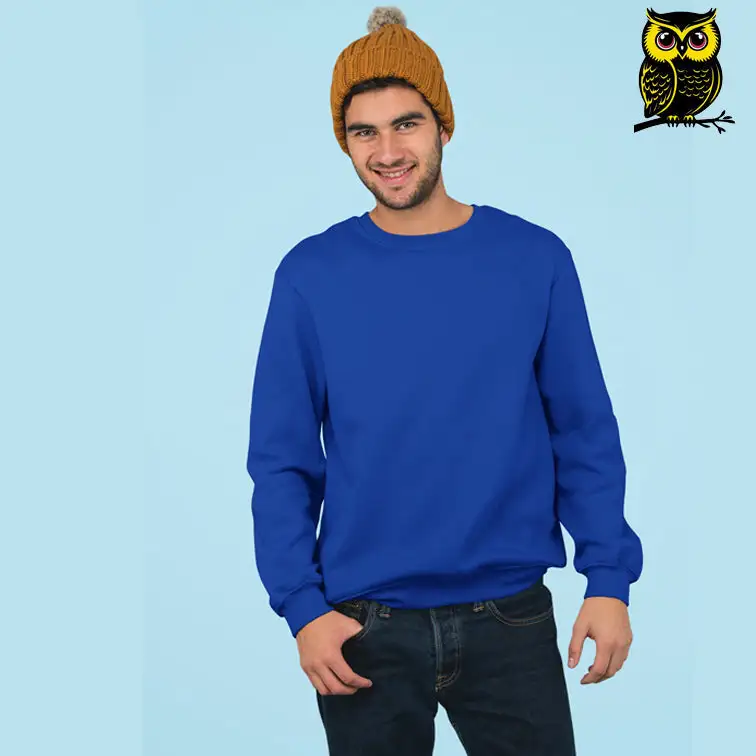 PLAIN UNISEX SWEATSHIRT -ROYAL BLUE - secondary