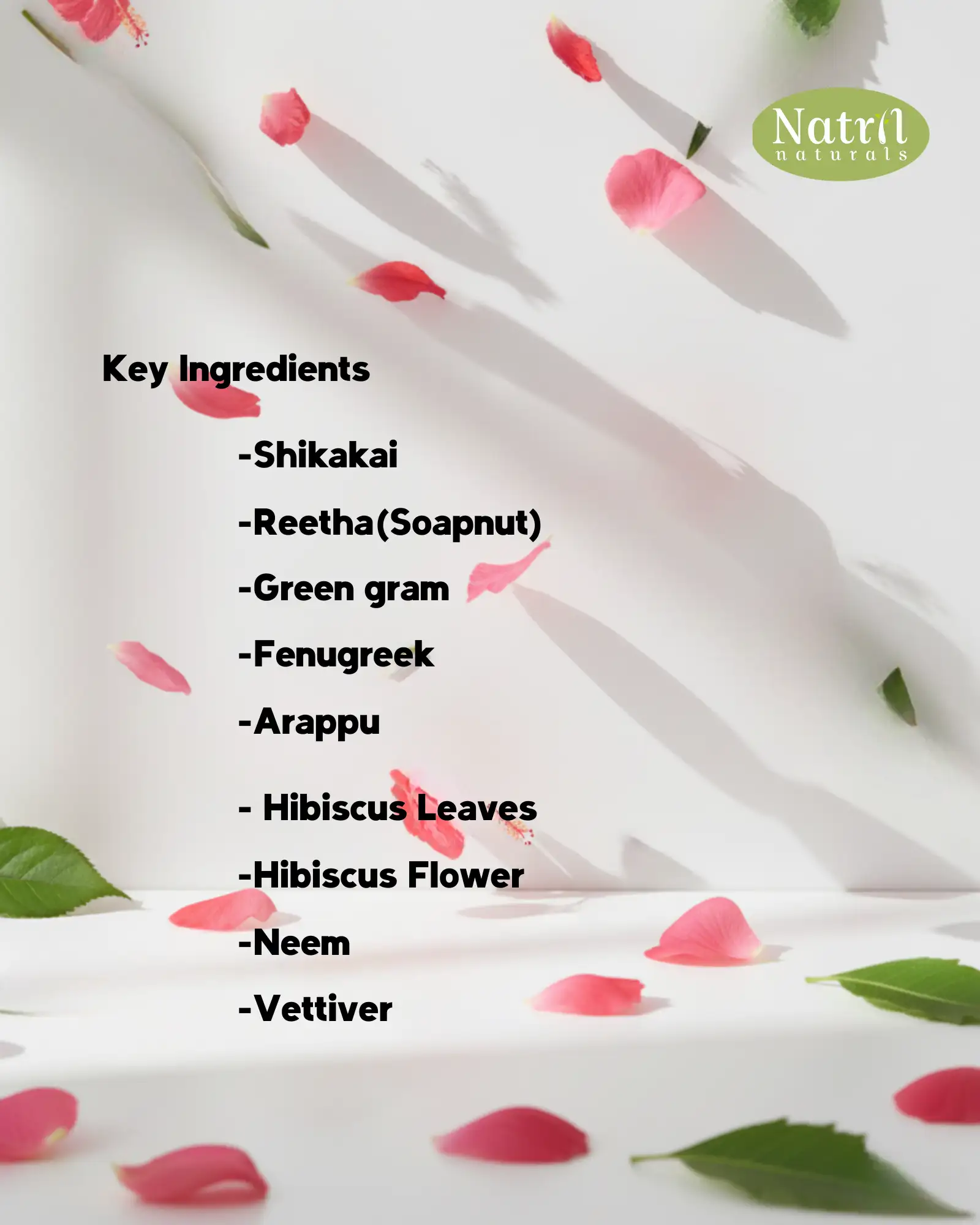 HAIR WASH POWDER(100 g) - secondary