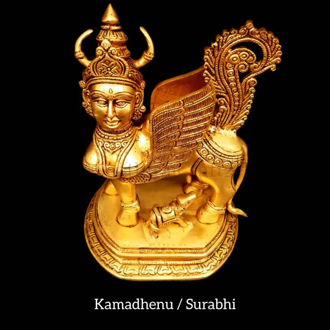 Kamadhenu / Surabhi ( B ) - secondary