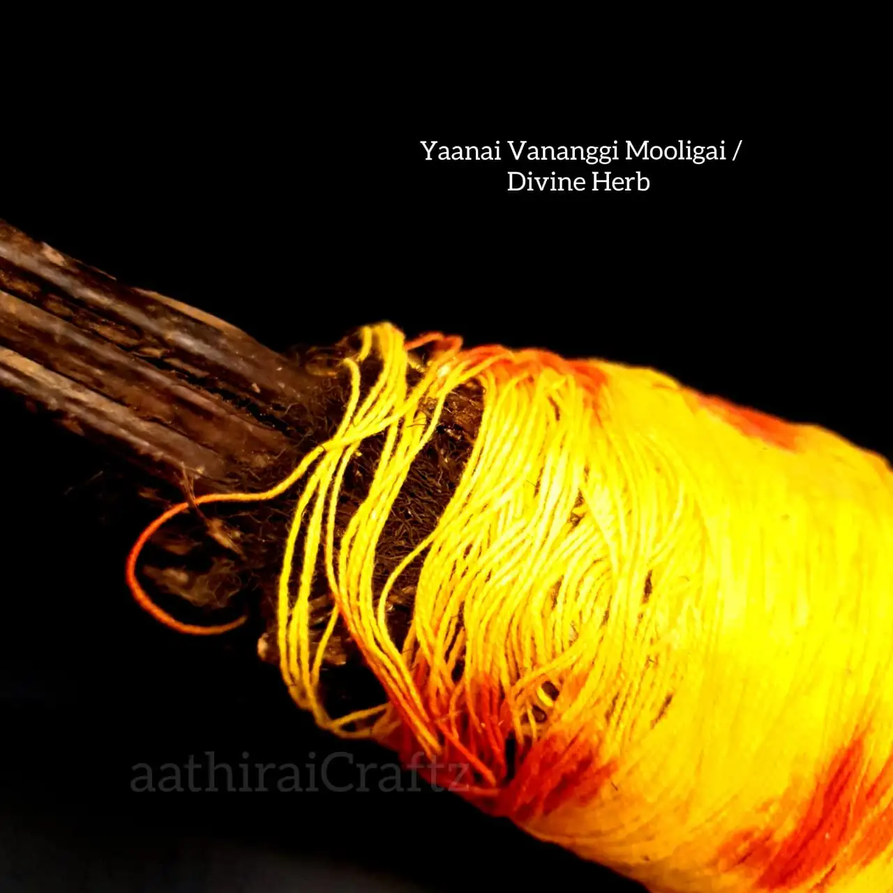 Yaanai Vananggi Mooligai - Medium - secondary