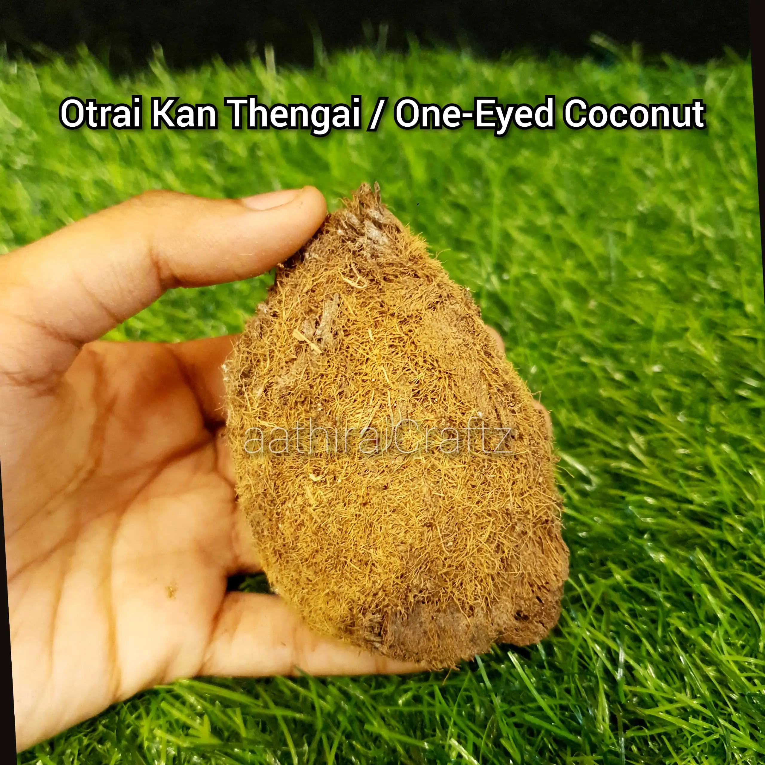 Ekakshi Nariyal / One Eyed Coconut - secondary