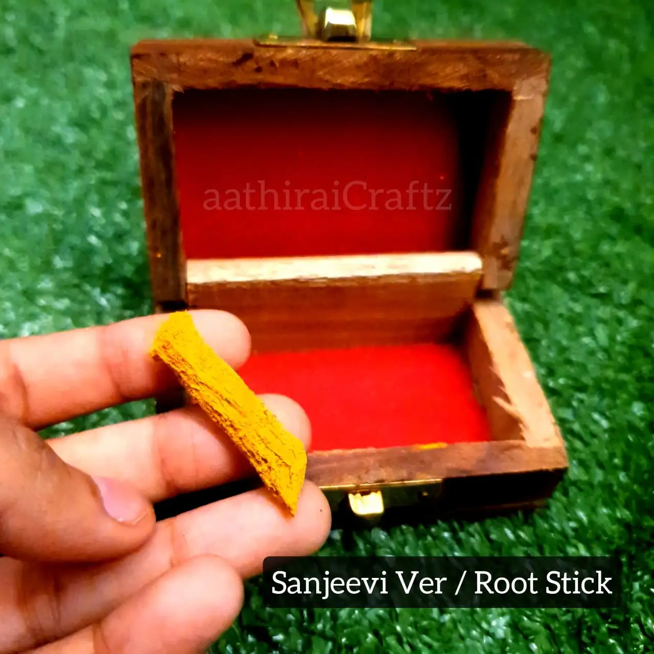 Sanjeevi Root / Sanjeevi Ver / Herbal Root / Divine Herb Nerunjil mooligai - secondary