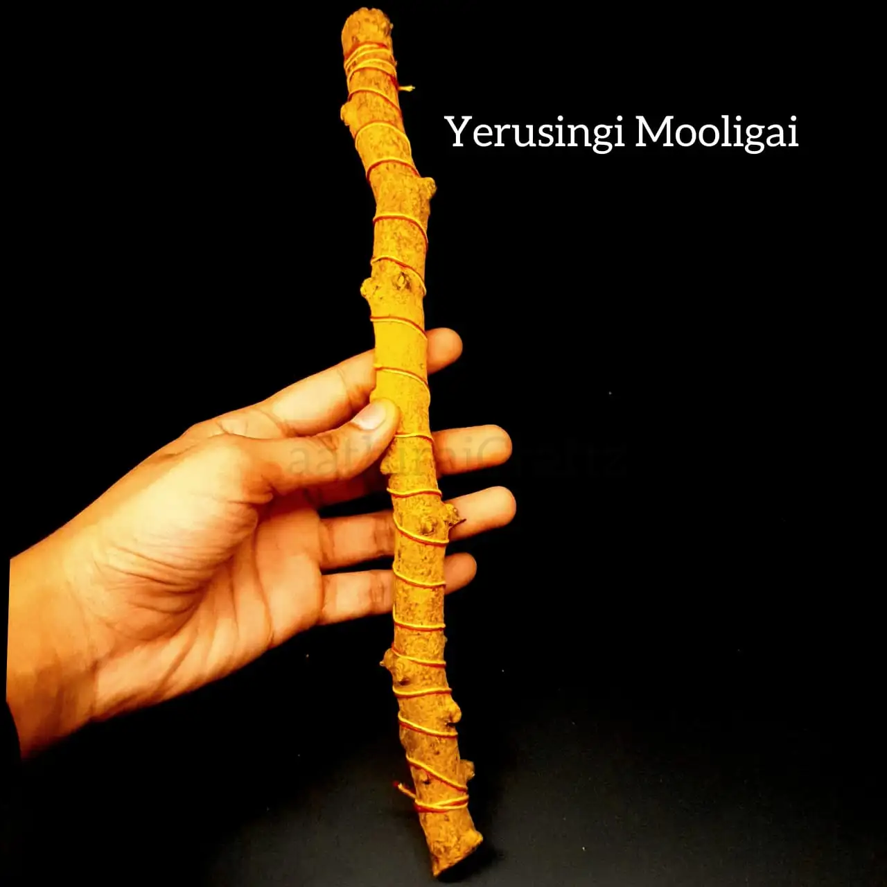 Yerusingi Mooligai - secondary