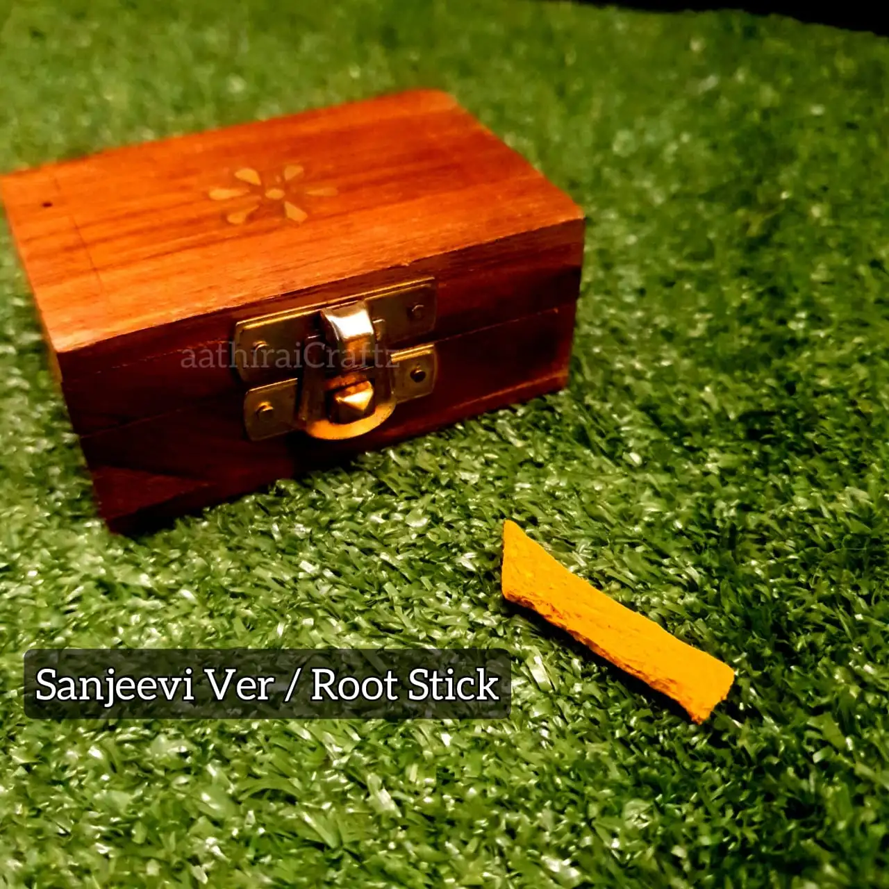 Sanjeevi Root / Sanjeevi Ver / Herbal Root / Divine Herb Nerunjil mooligai