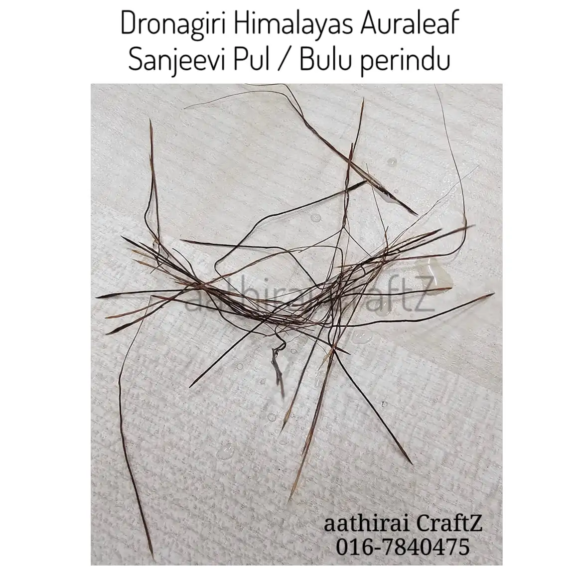 Dronagiri Sanjeevi Pul