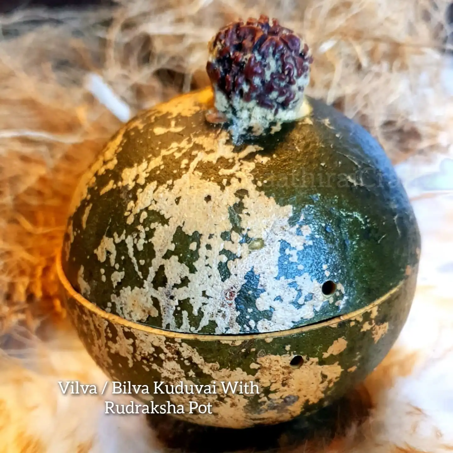Natural Vilva / Bilva Kuduvai with rudraksha Lid
