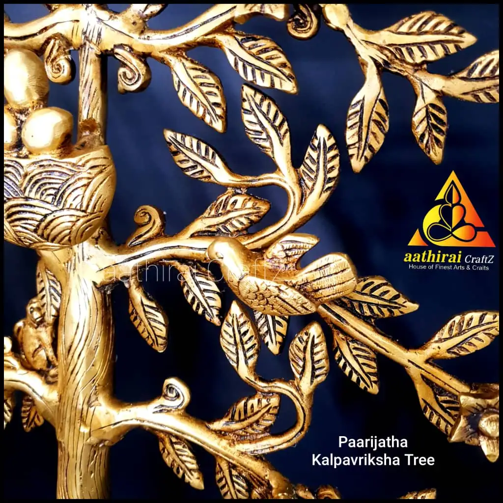 Paarijatha Kalpavriksha Tree   20 inches Karpaga Maram / - secondary