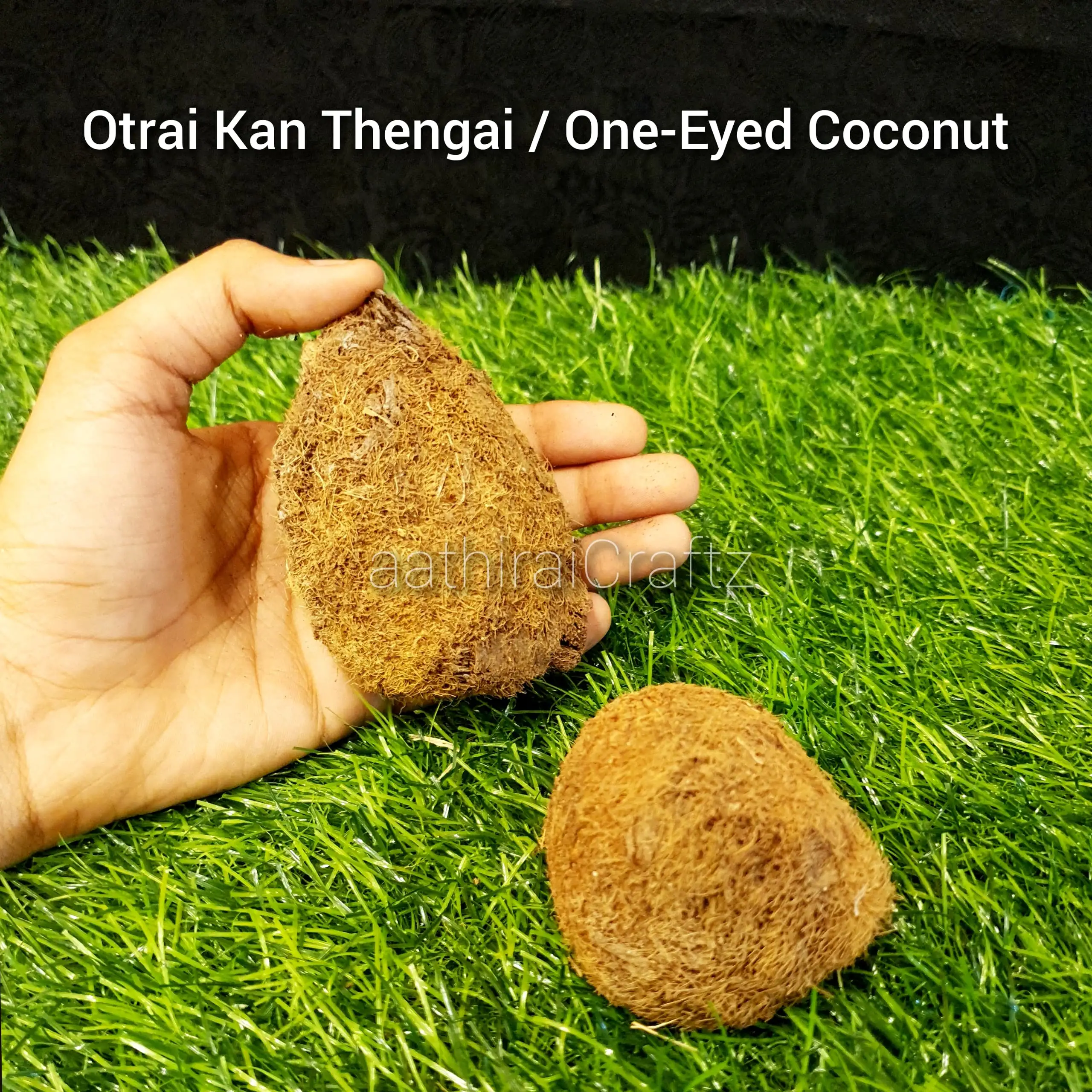 Ekakshi Nariyal / One Eyed Coconut