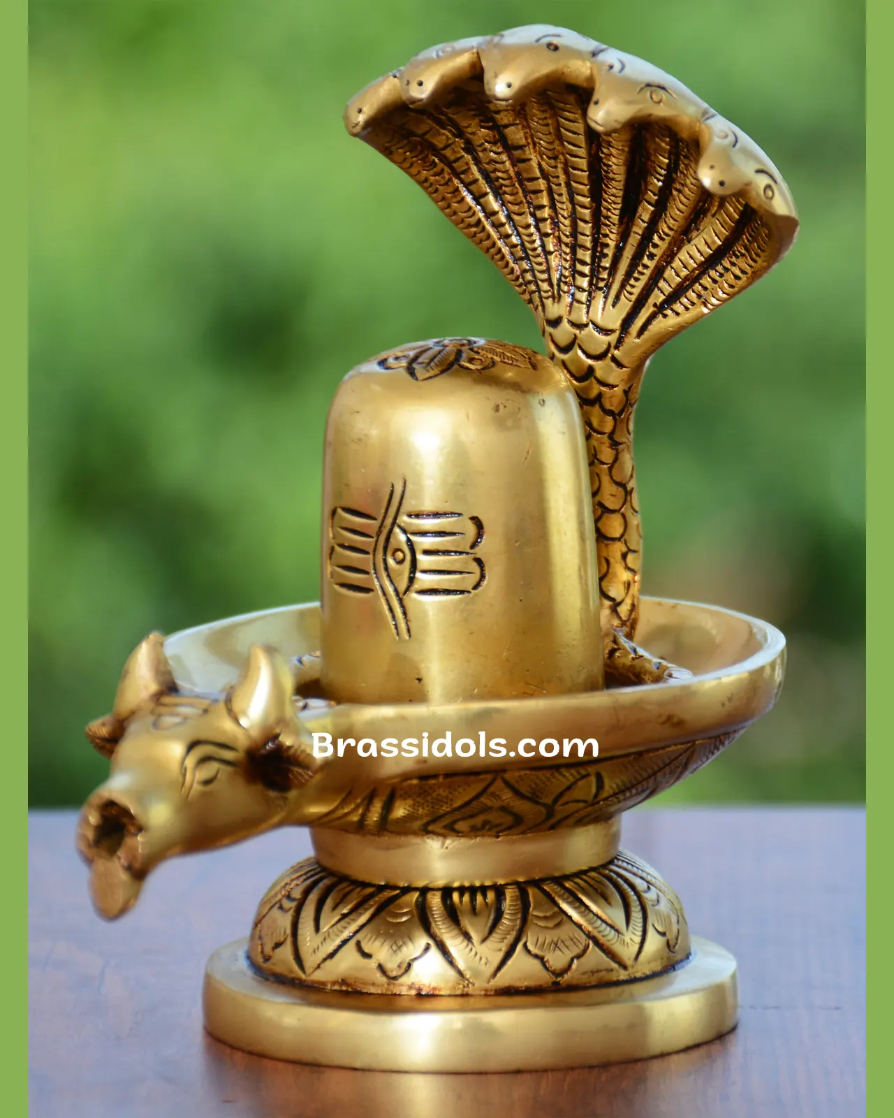 Nag Shivling