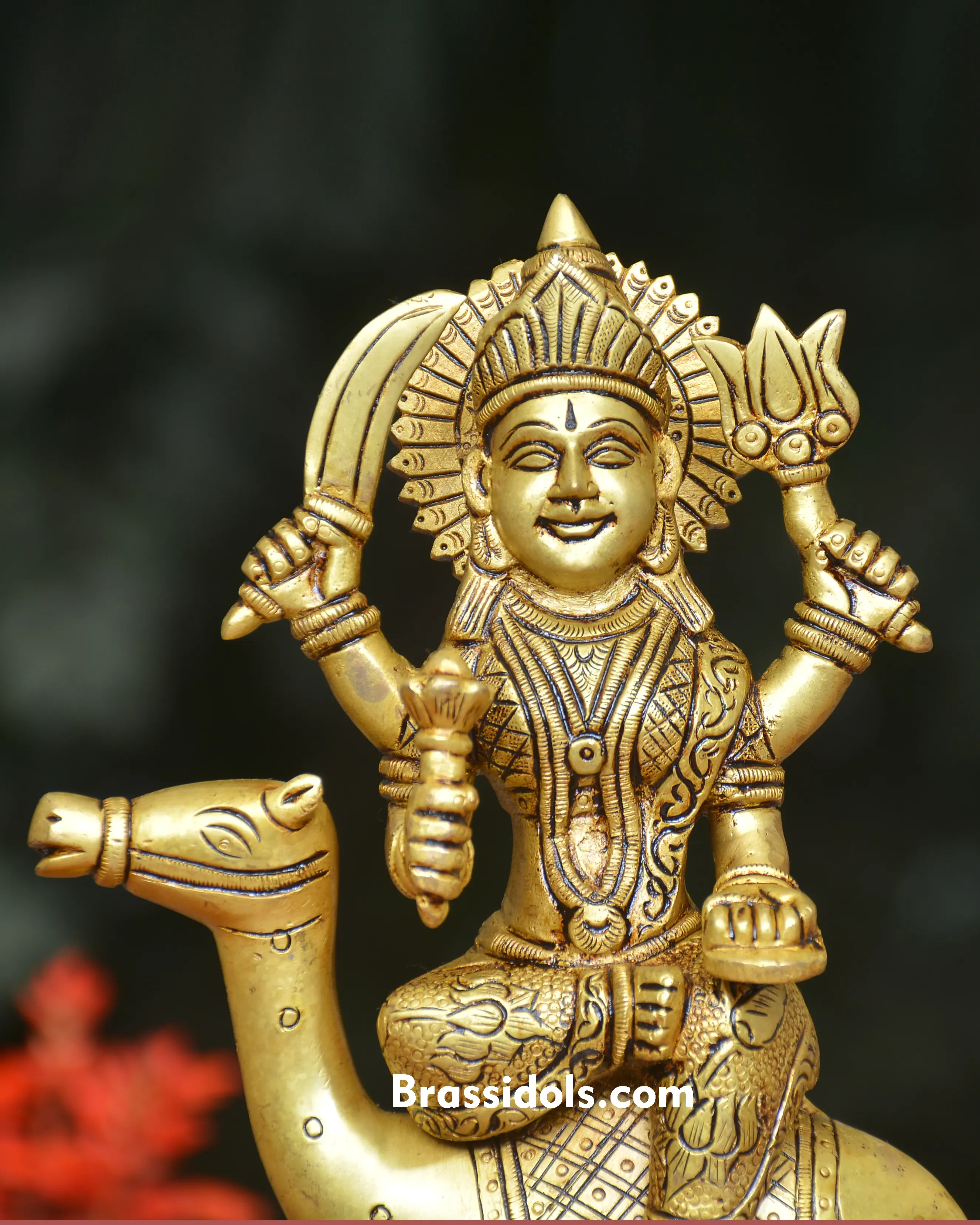 BRASS CAMEL DEVI IDOL - secondary