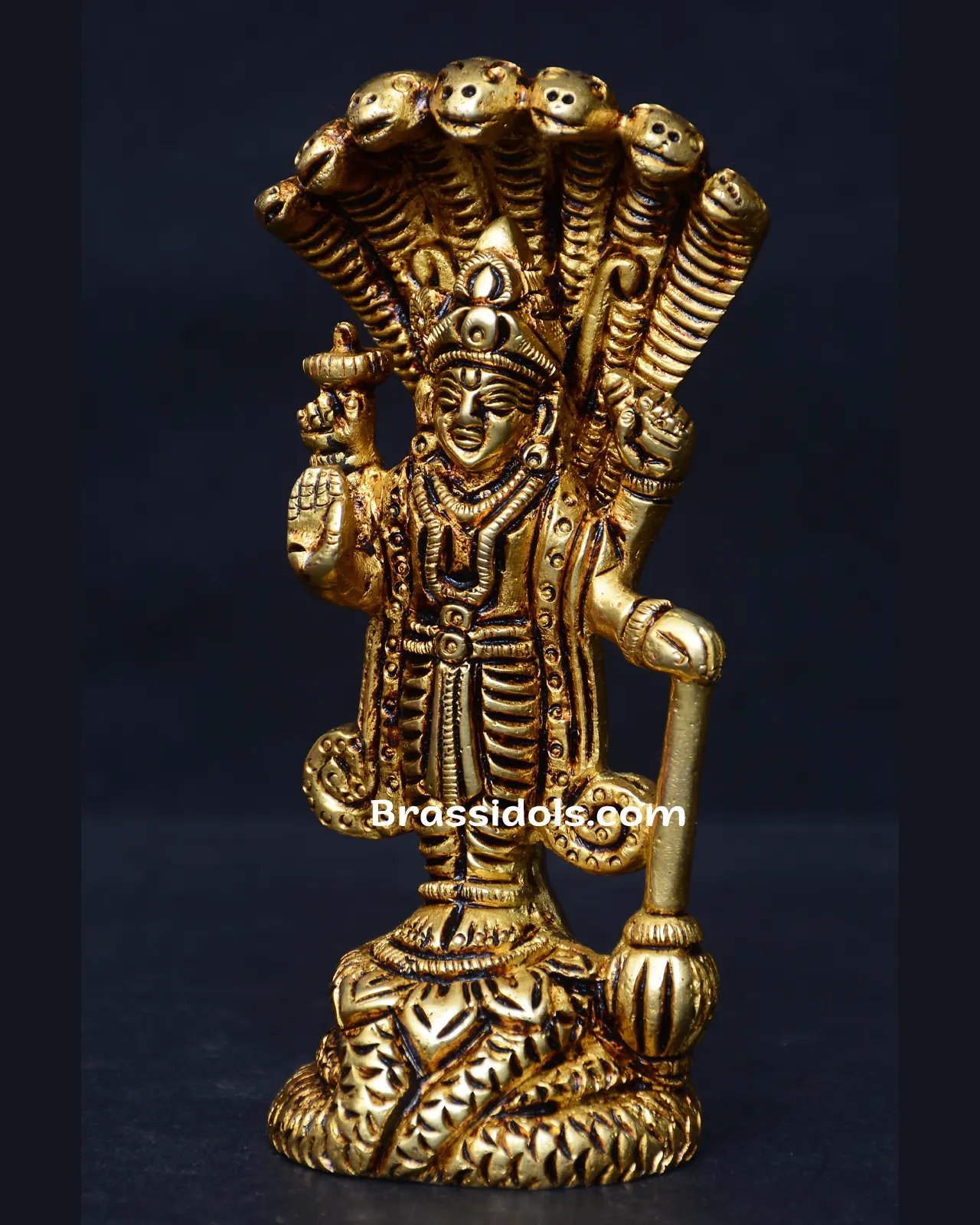 Standing Nag Vishnu - secondary