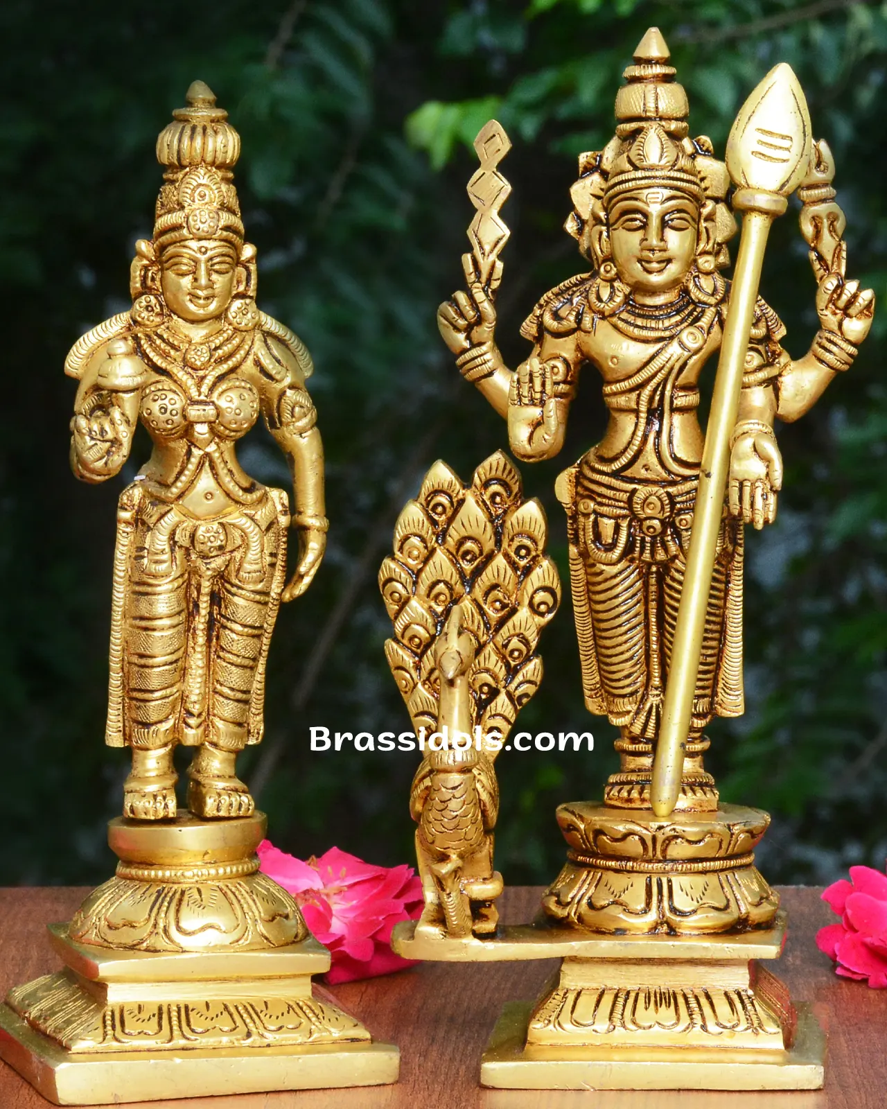 Elegant Devanai Valli Karthikeyan with Peacock Brass Idol - secondary