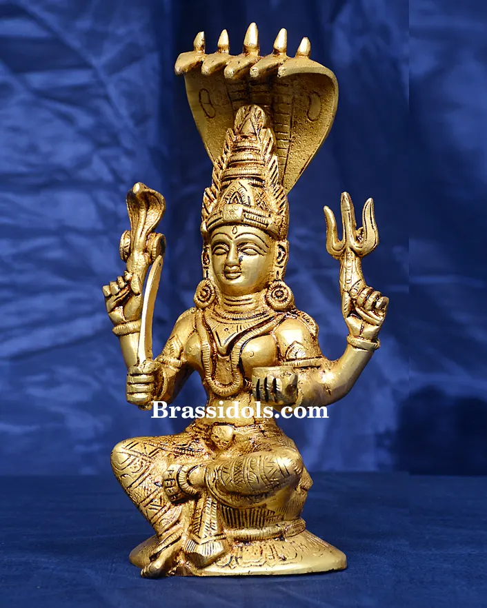 Karmani Nag - secondary