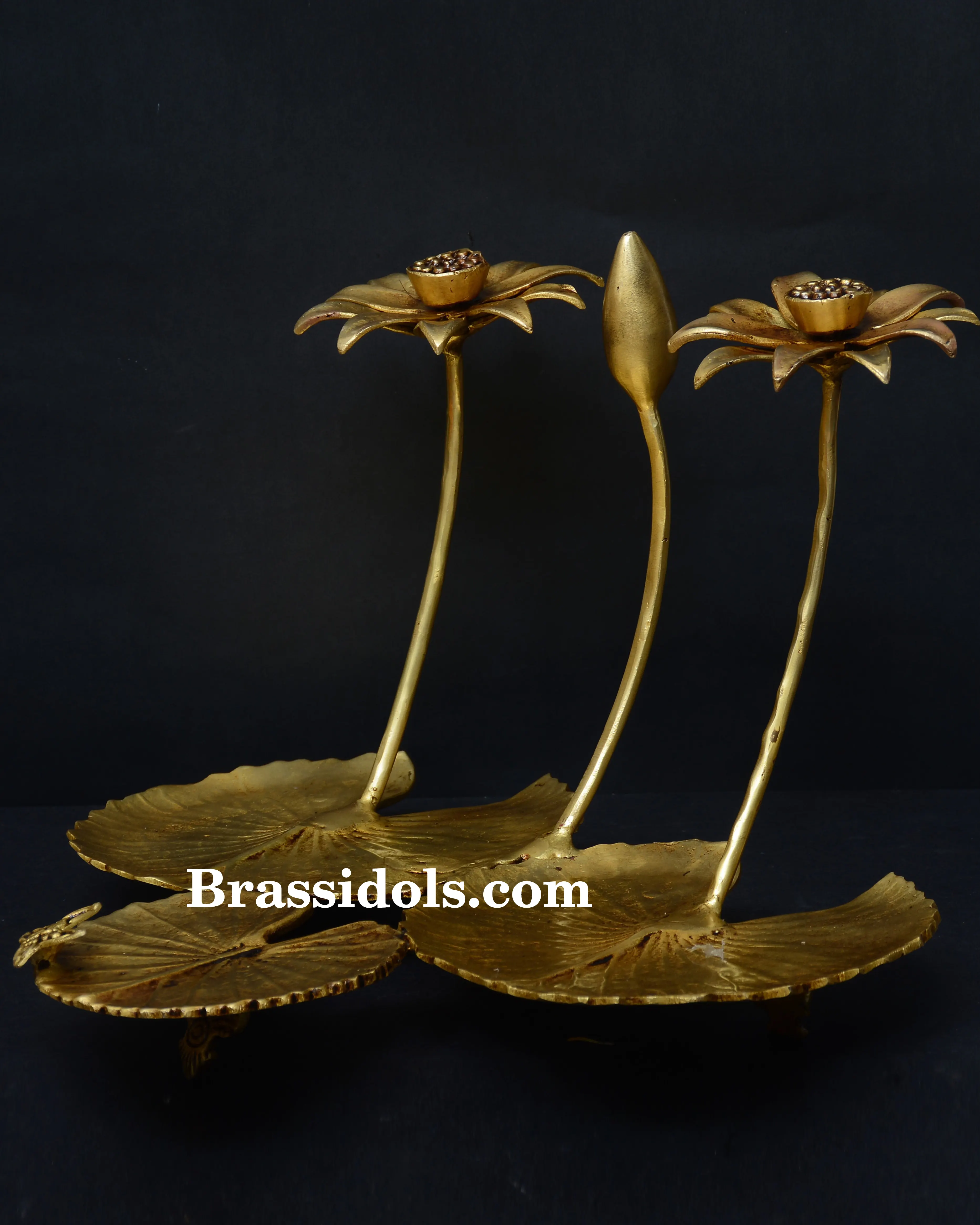 Lotus leaf stand - secondary