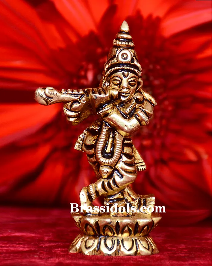 Standing Kamal Krishna