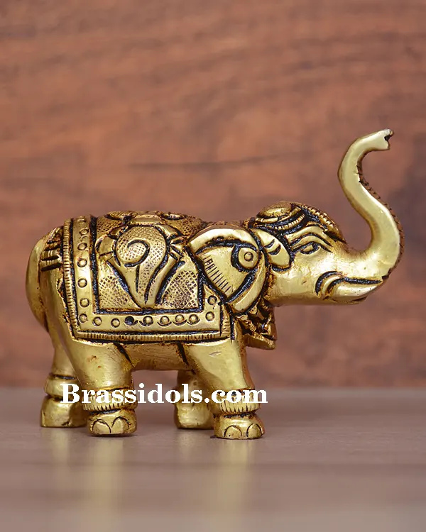 Elephant Shank Chakra - secondary