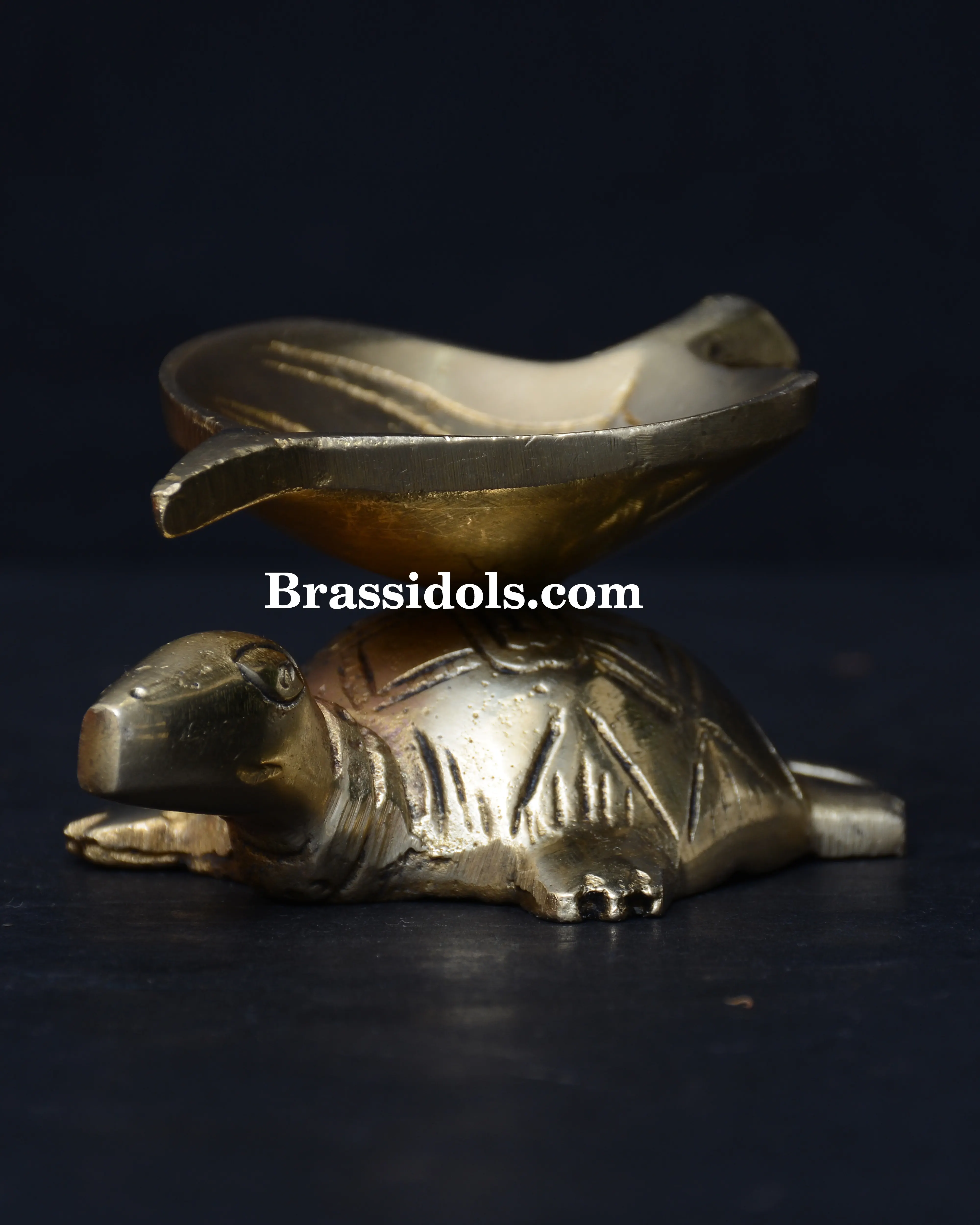 Tortoise Leaf Deepak - secondary