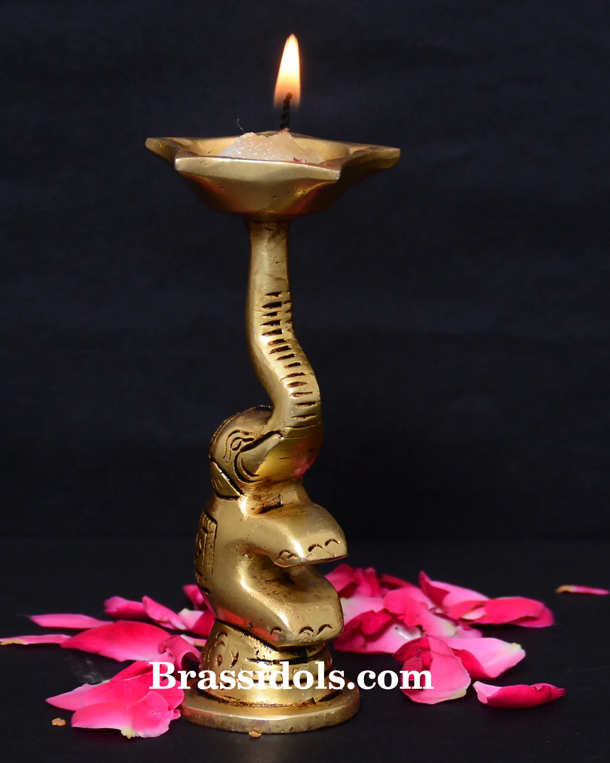 Elephant Base Deepak - secondary