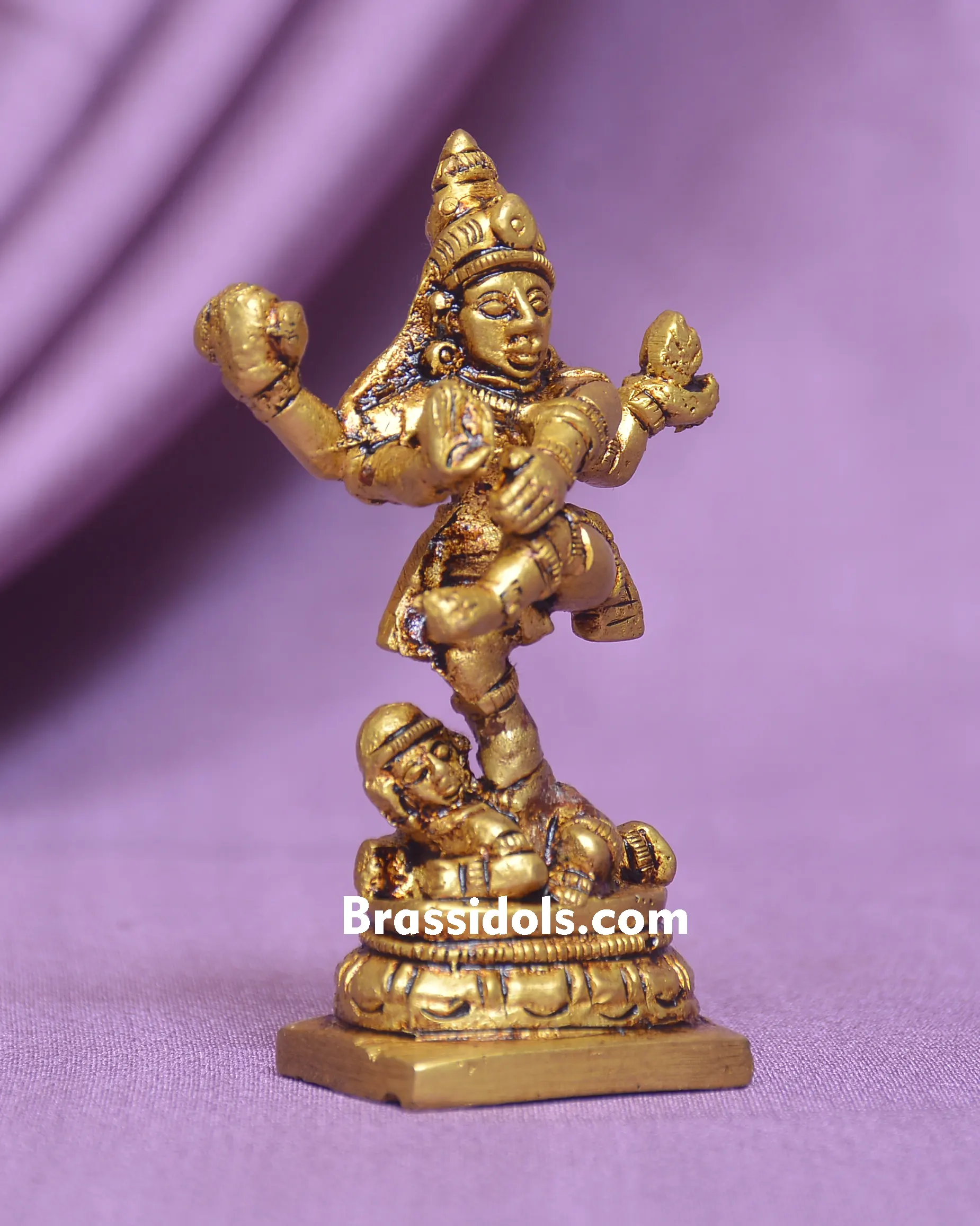 NATRAJ IDOL
