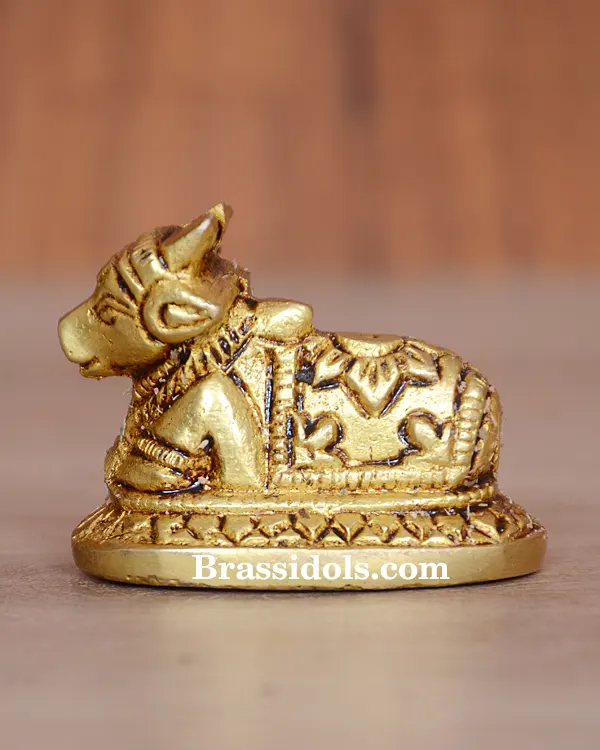 Nandi 100gm - secondary