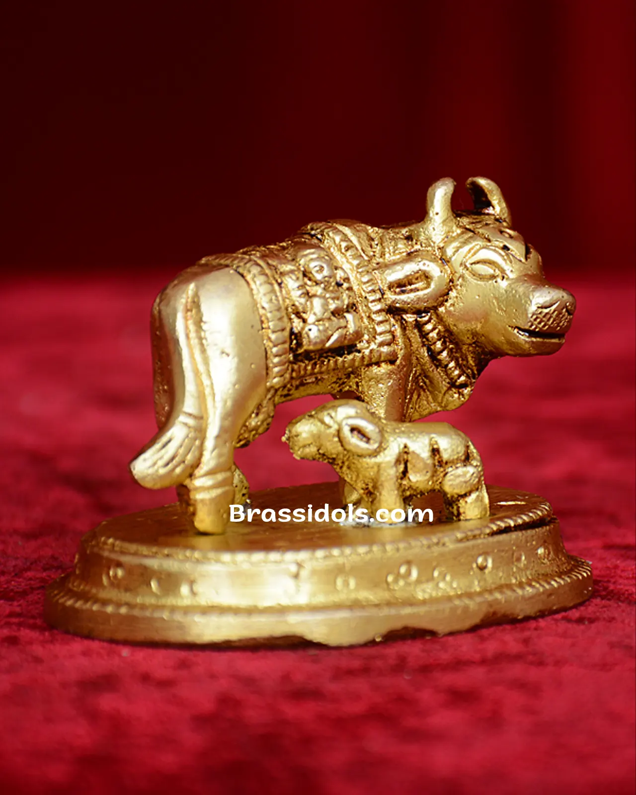 Cow Calf L+G - secondary