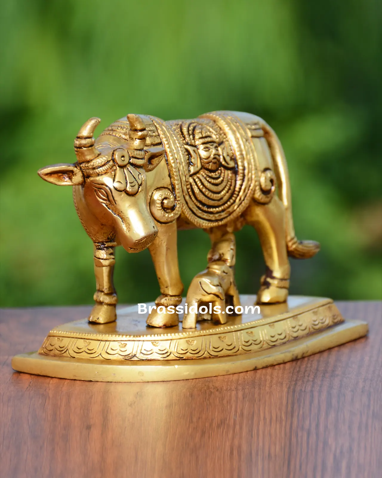 Cowcalf Banke Bihari - secondary