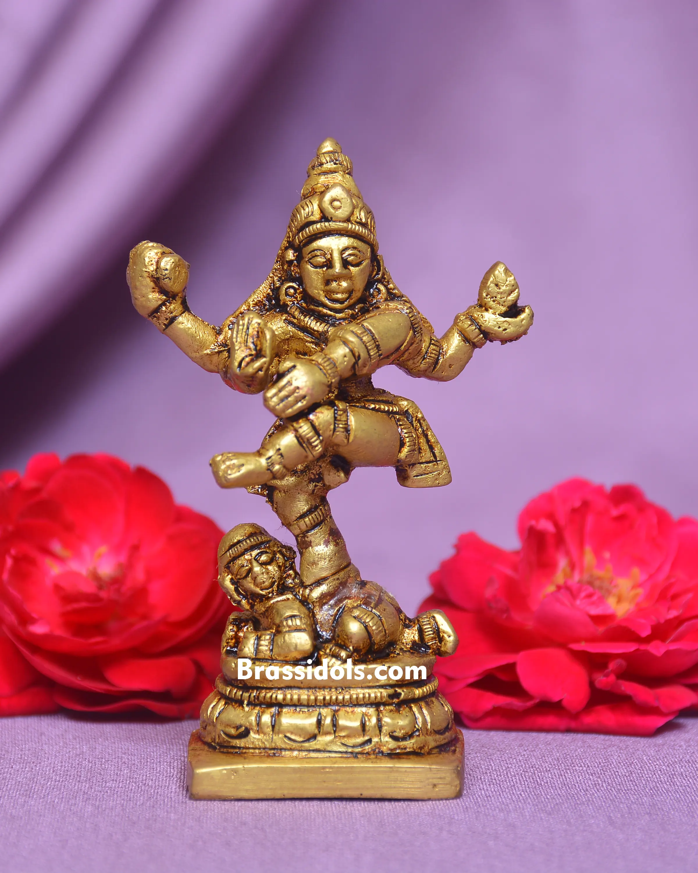 NATRAJ IDOL - secondary
