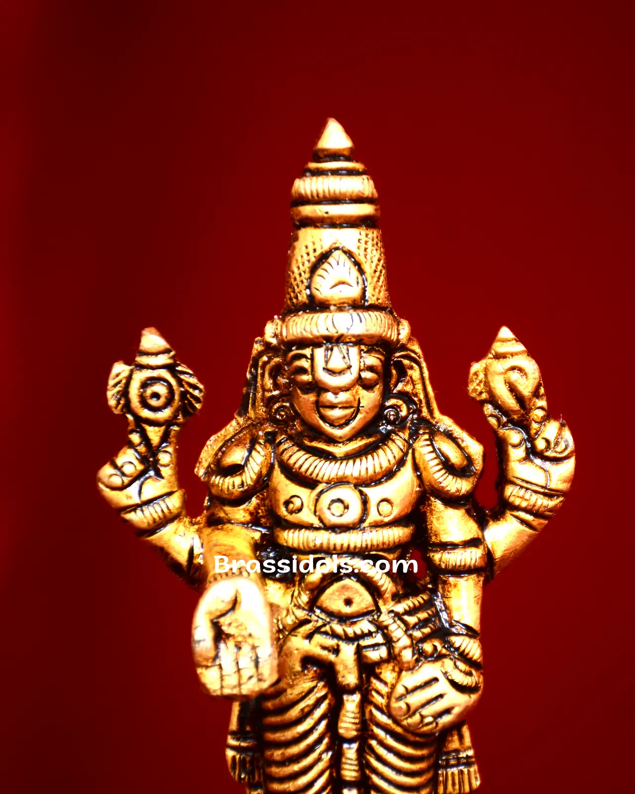Balaji Chakra Namah Shankh Murti - secondary