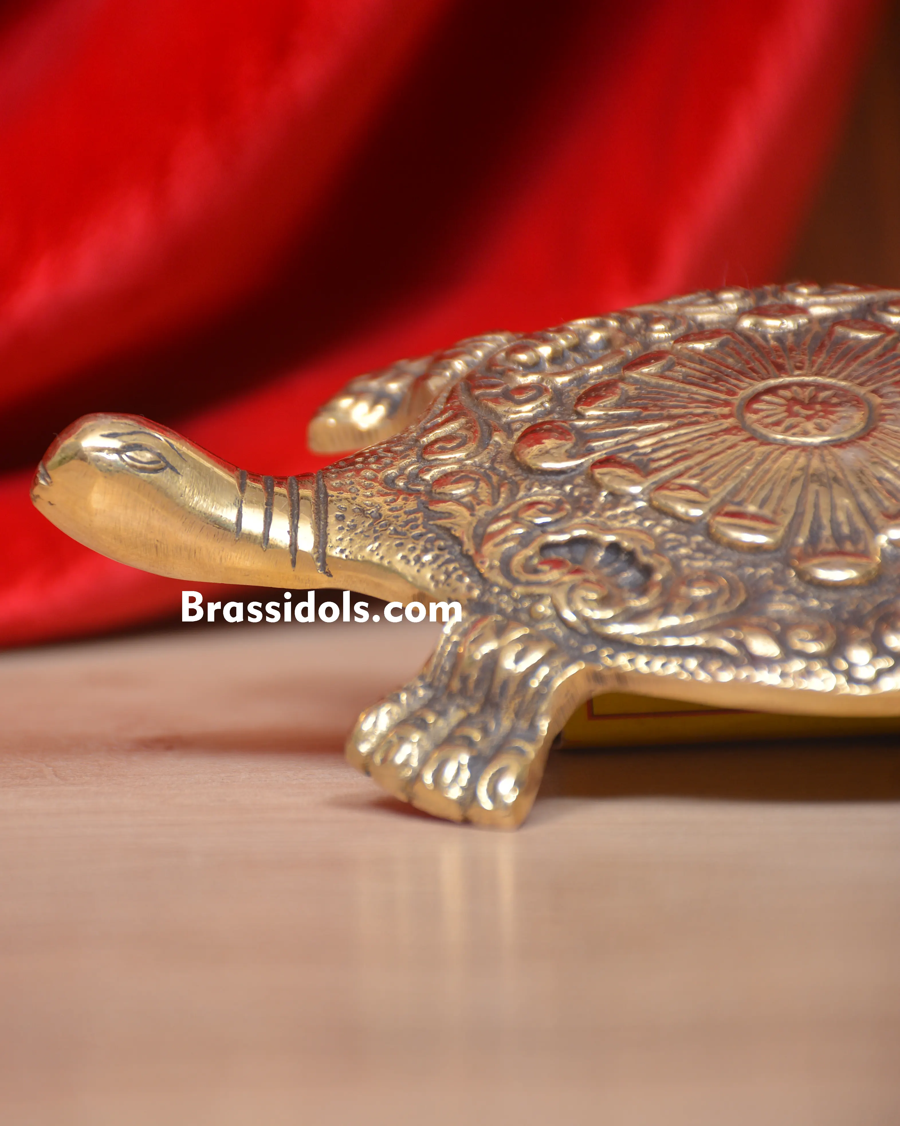 Tortoise plate - secondary