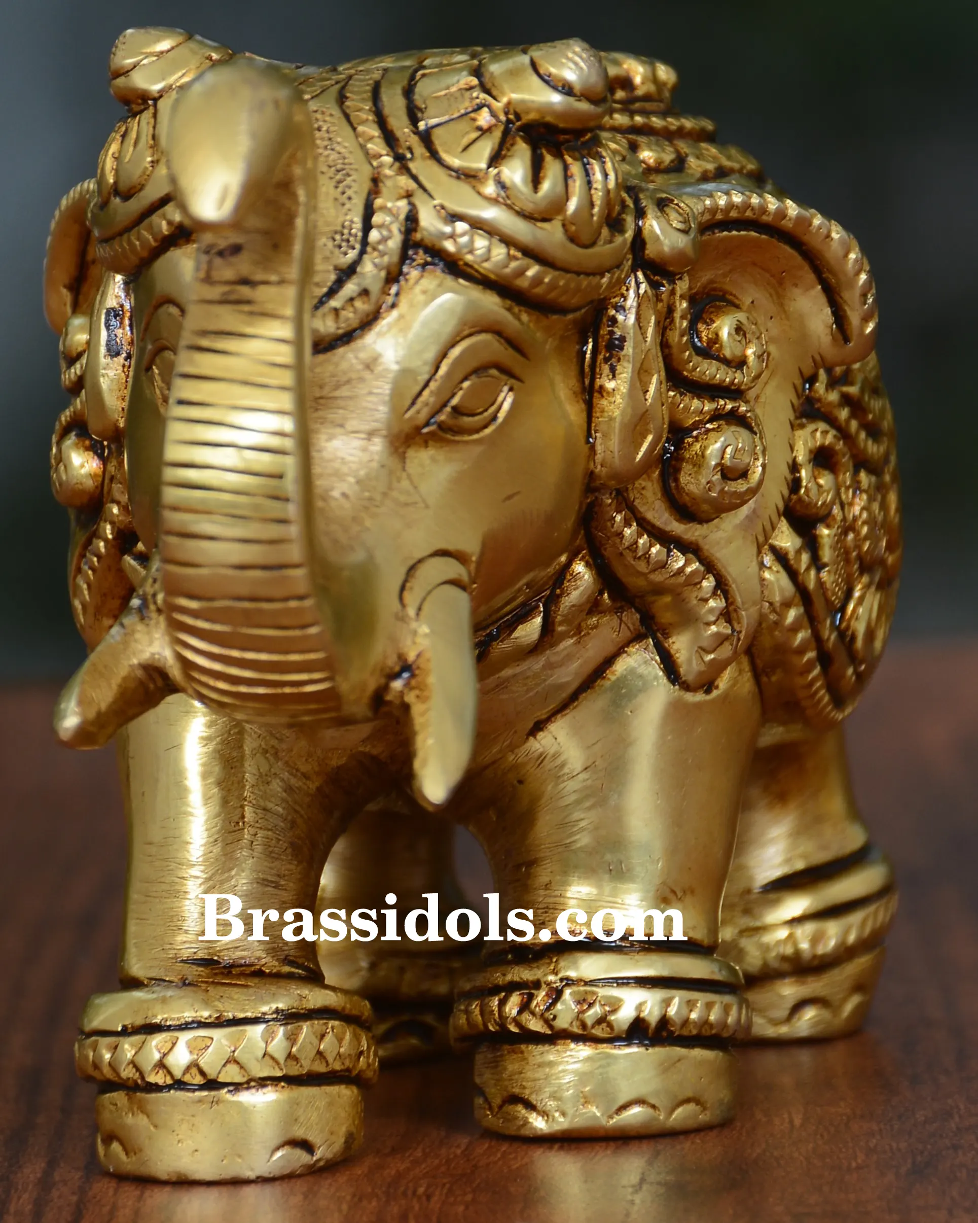 Arihant Elephant - secondary