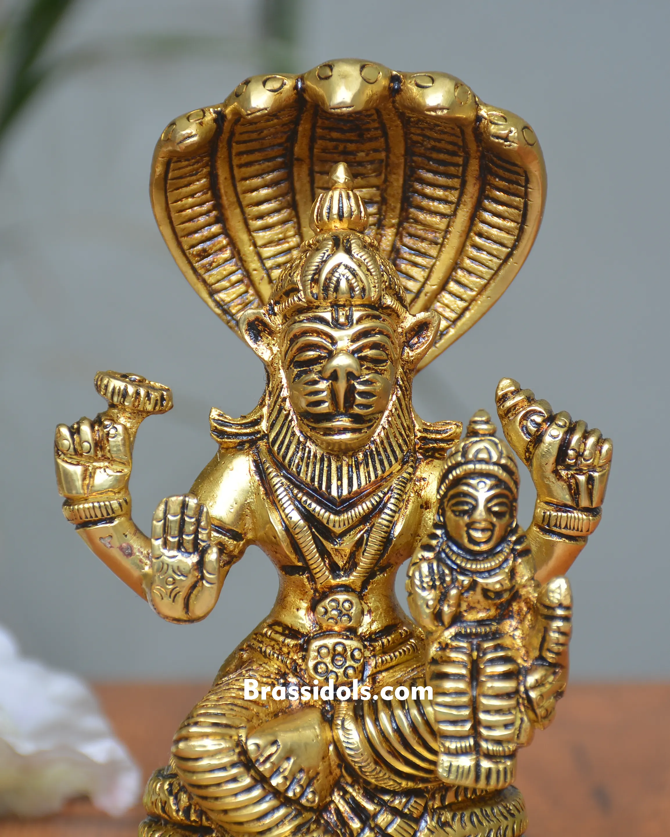 NAAG NARSING LAXMI - secondary