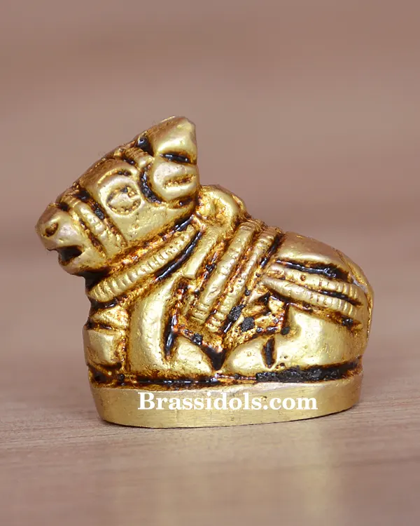 Nandi 30gm - secondary