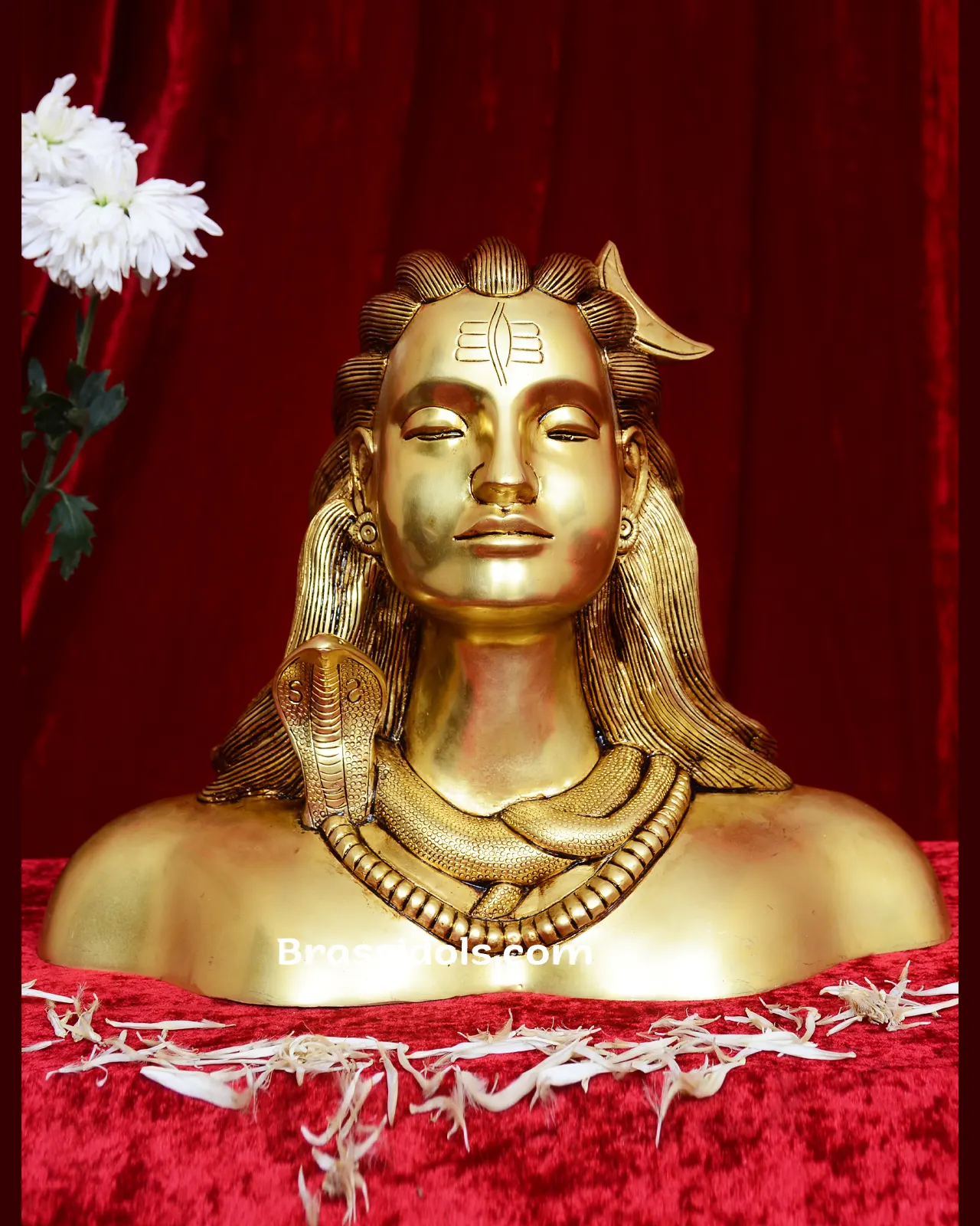 Adiyogi Without Golden Base