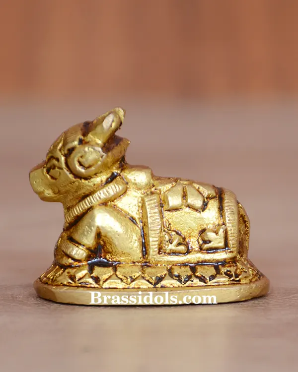 Nandi 70gm - secondary