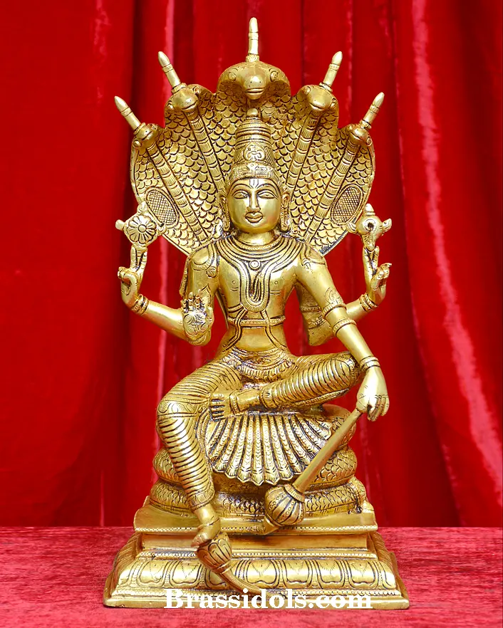 Nag Vishnu