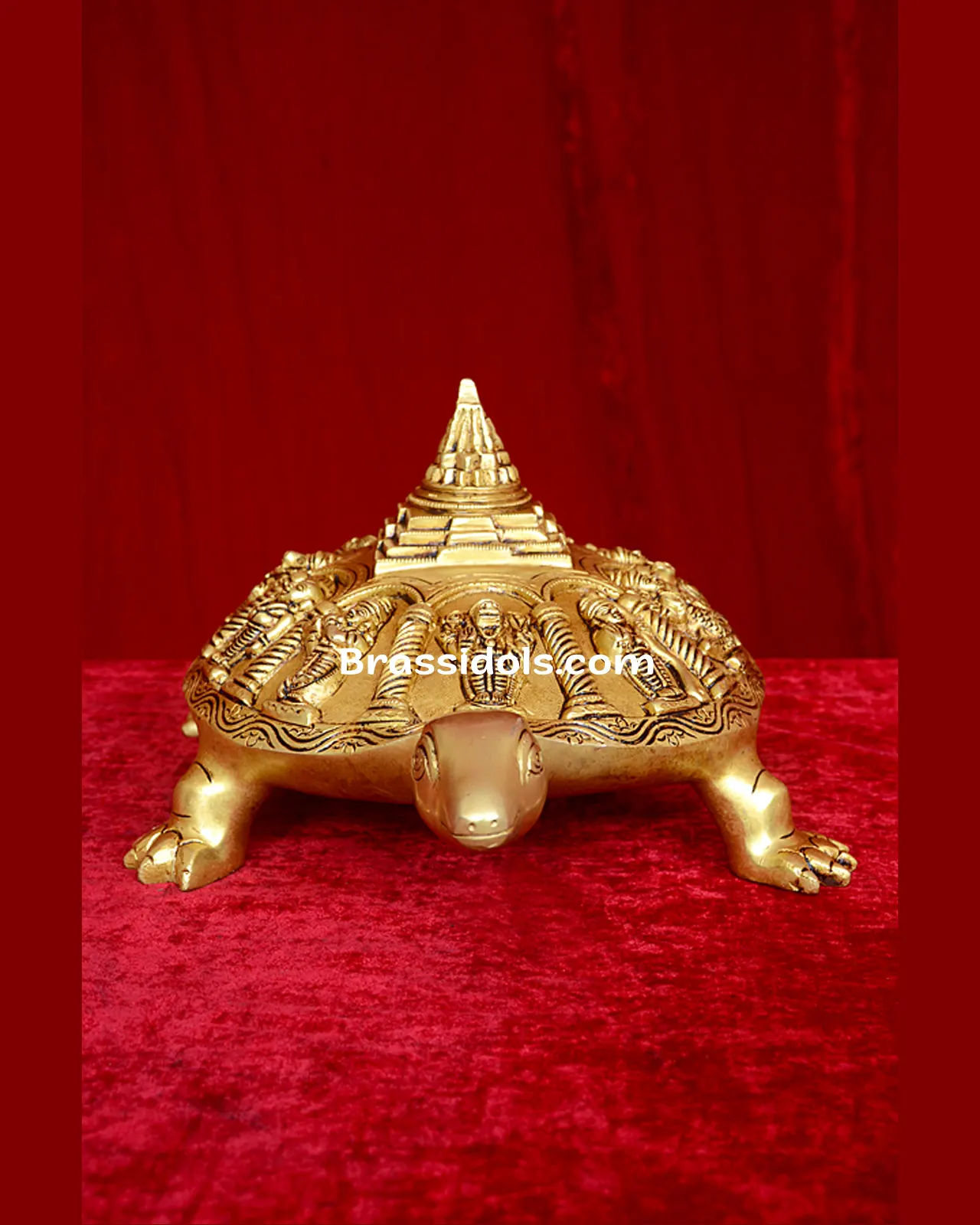 Tortoies Dasavtar - secondary