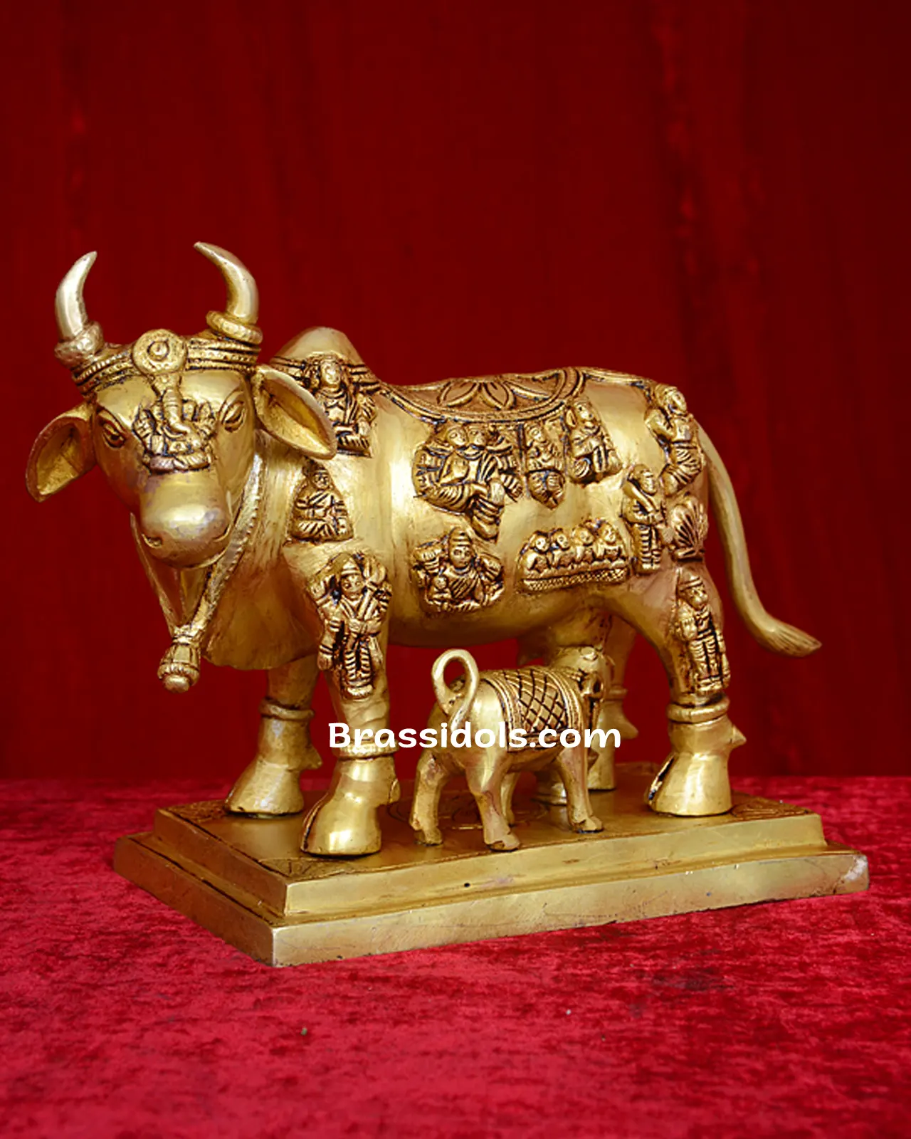 Cow calf God - secondary