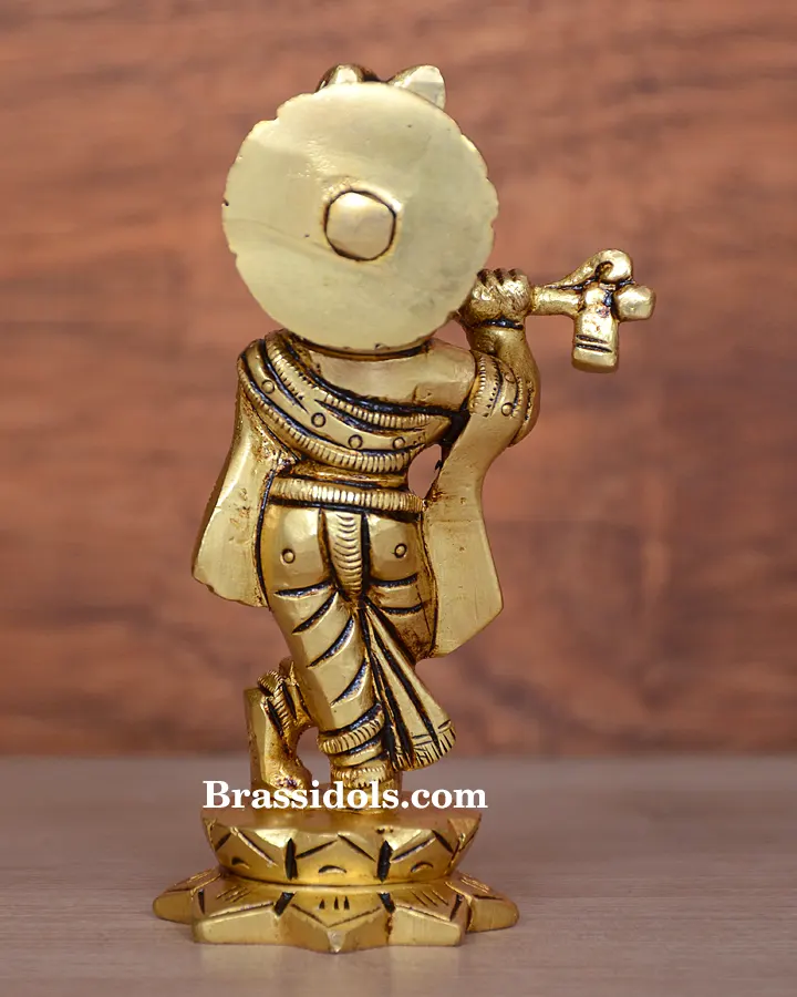 Standing with Kamal Krishna - secondary