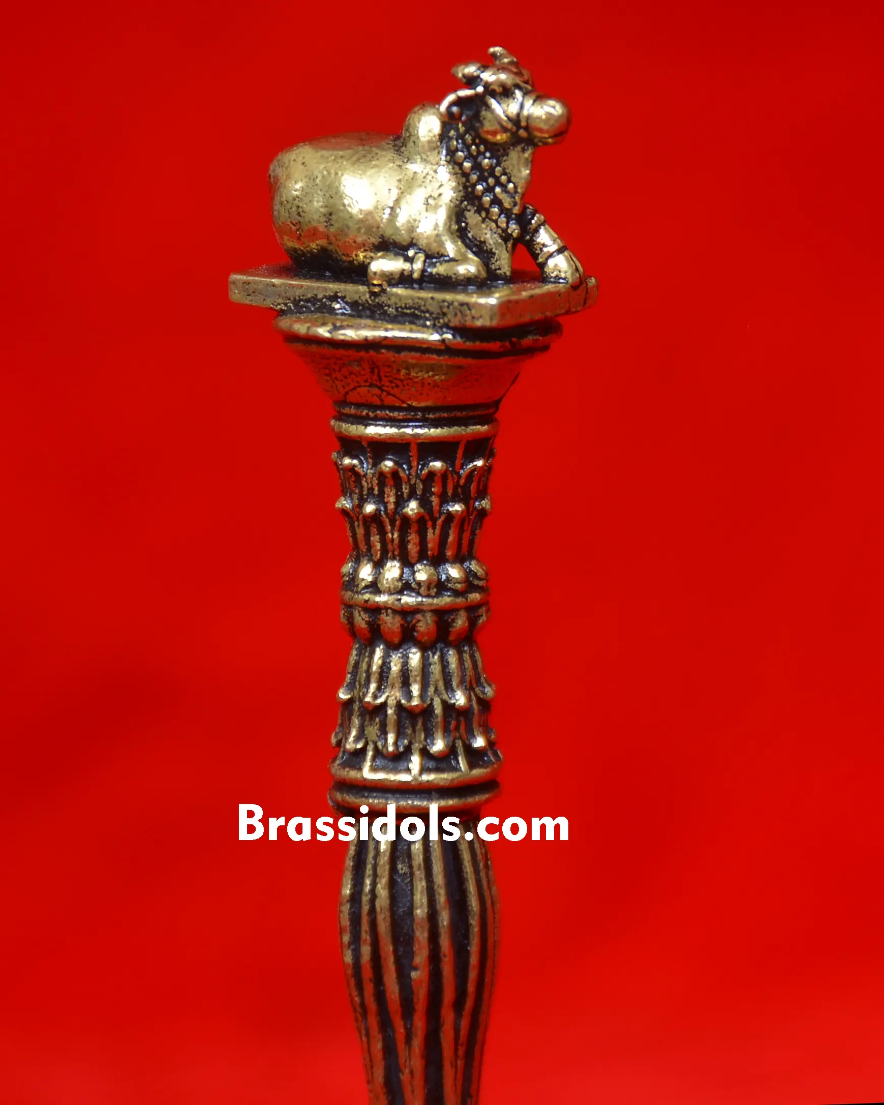 NANDI BELL - secondary