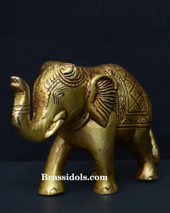 Elephant - secondary