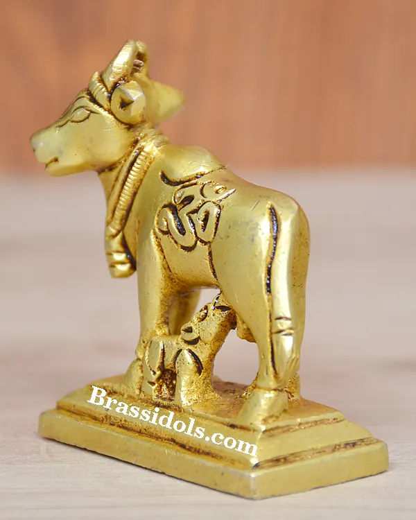 Cow calf Om right face - secondary