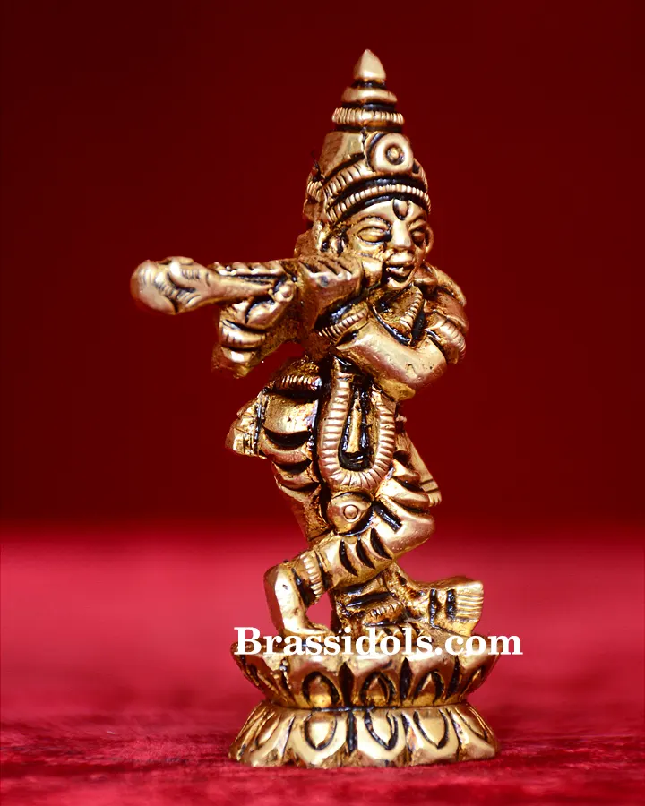 Standing Kamal Krishna - secondary