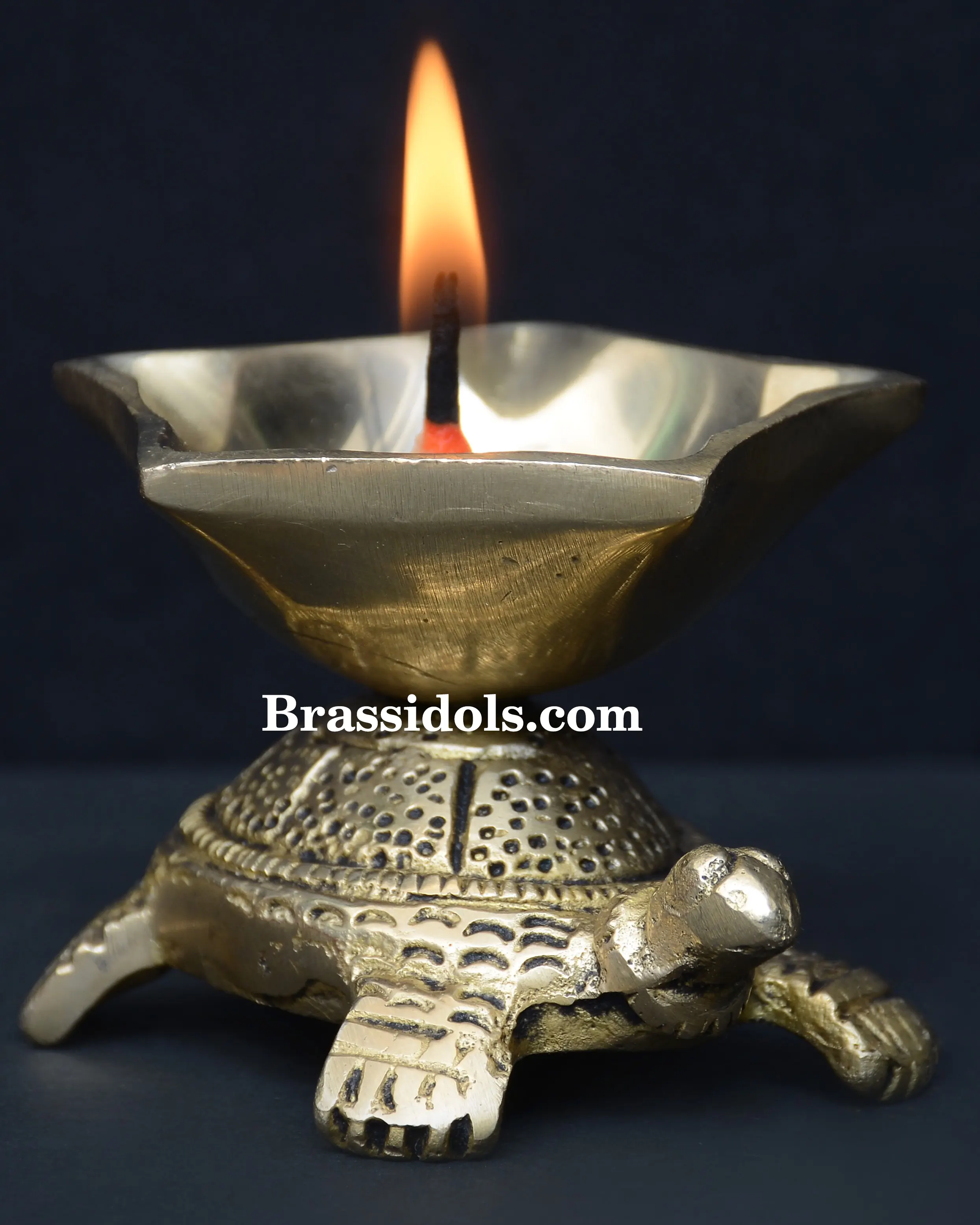 Tortoise Panchmukhi Deepak