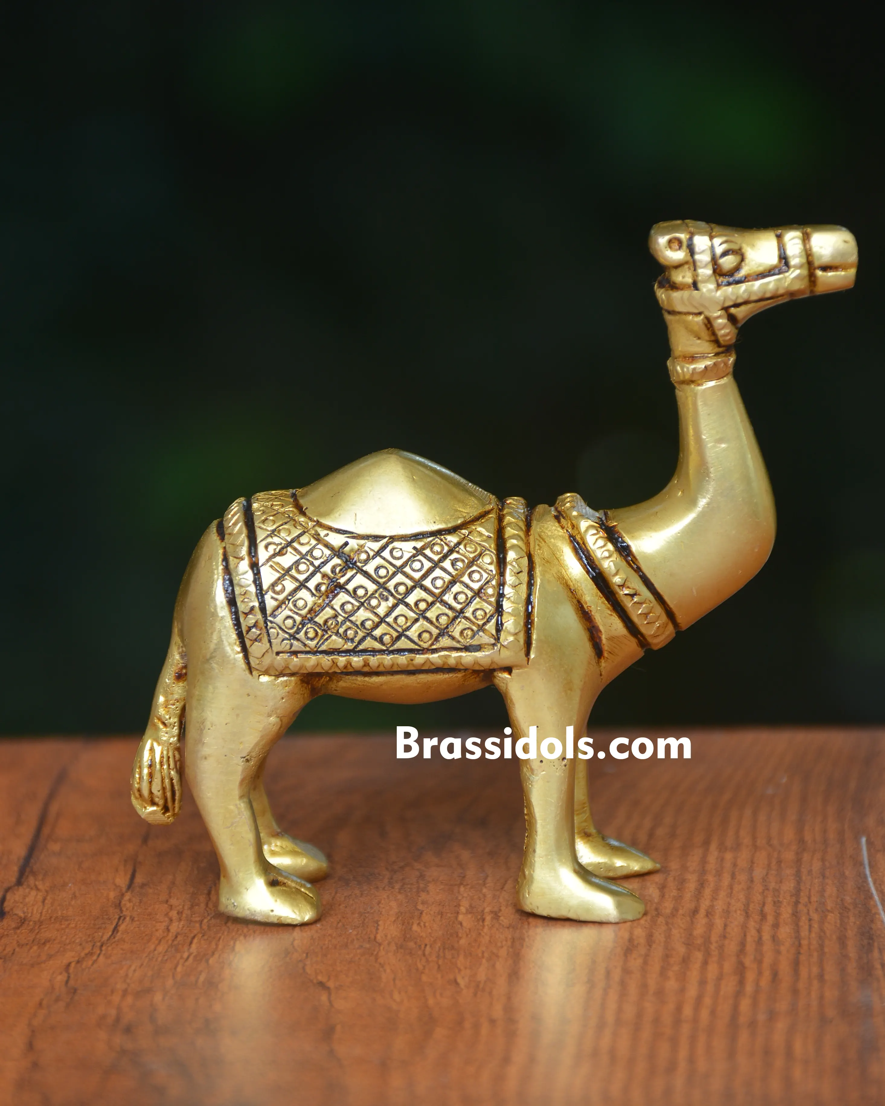 Camel Figurine for Home Decor - 250 gm