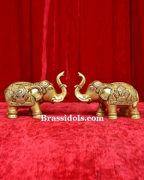 Elephant Shank Chakra