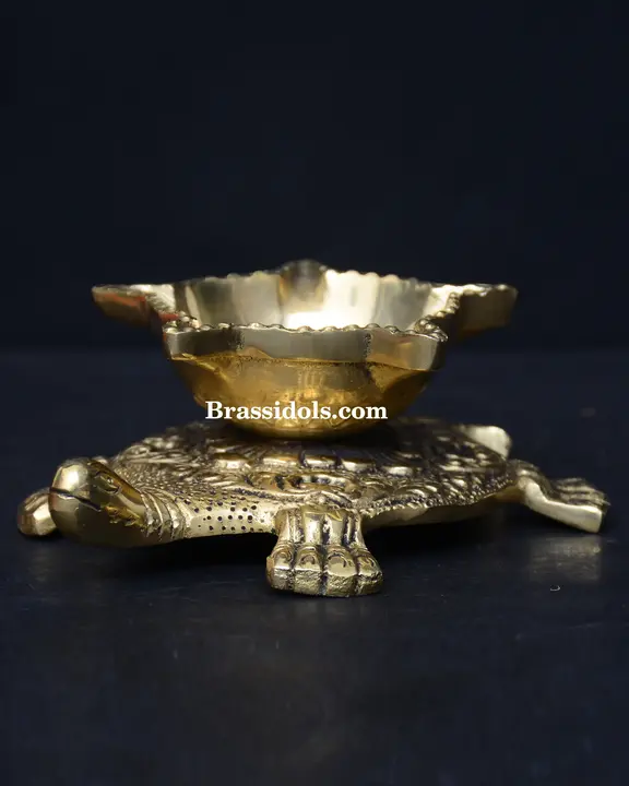 Tortoise Deepak - secondary