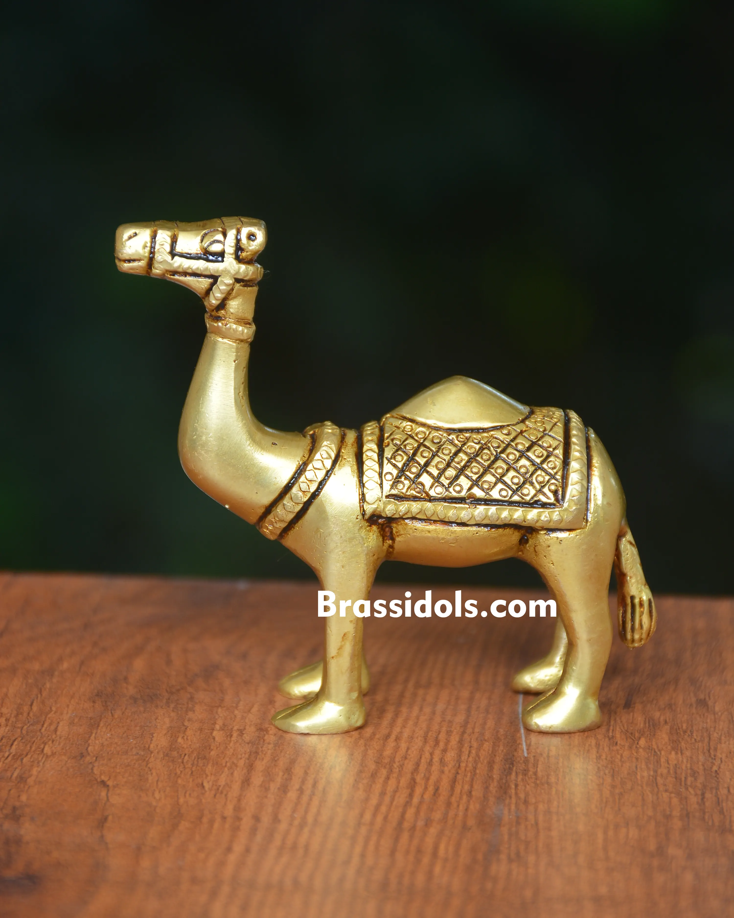 Camel Figurine for Home Decor - 250 gm - secondary