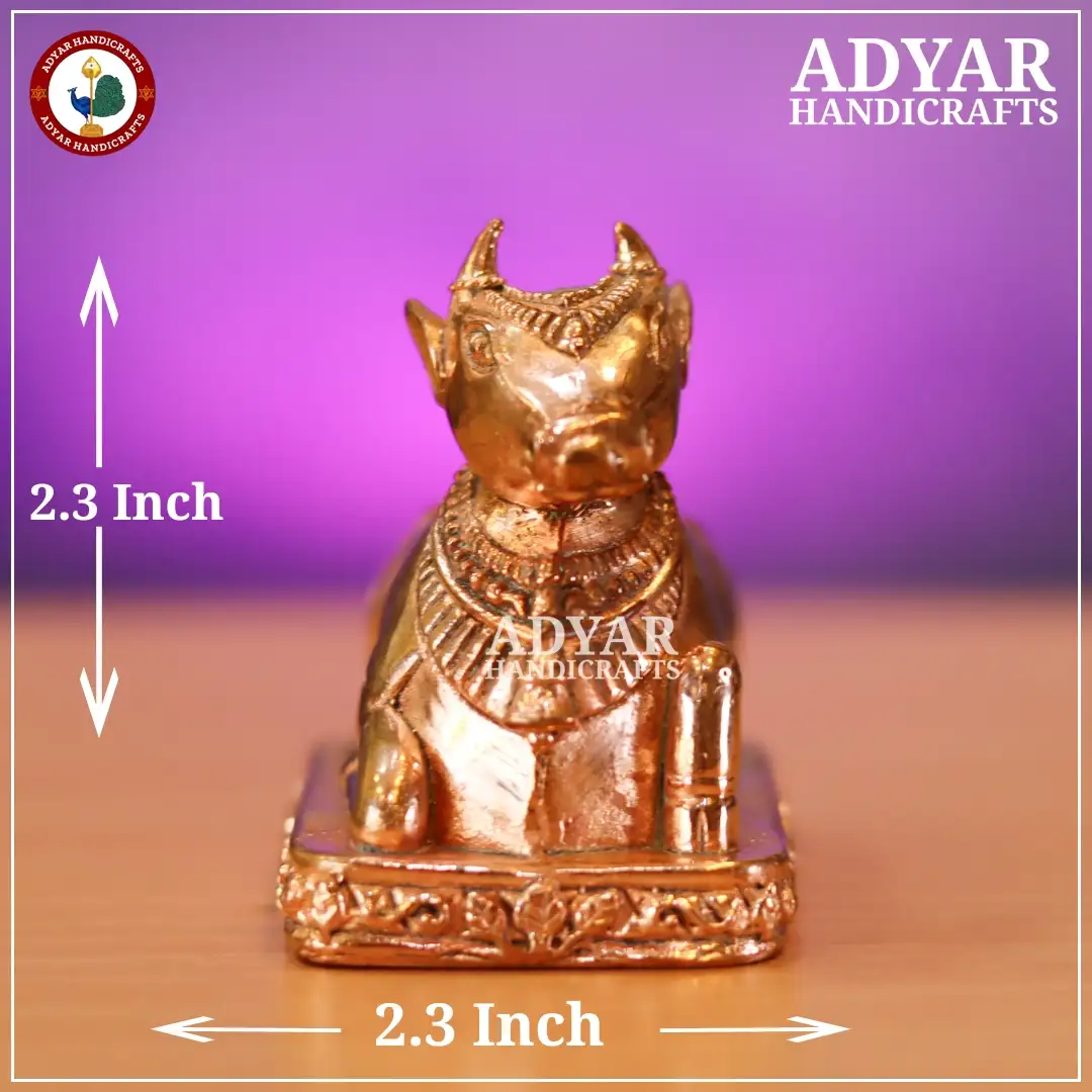 Nandi - image 4