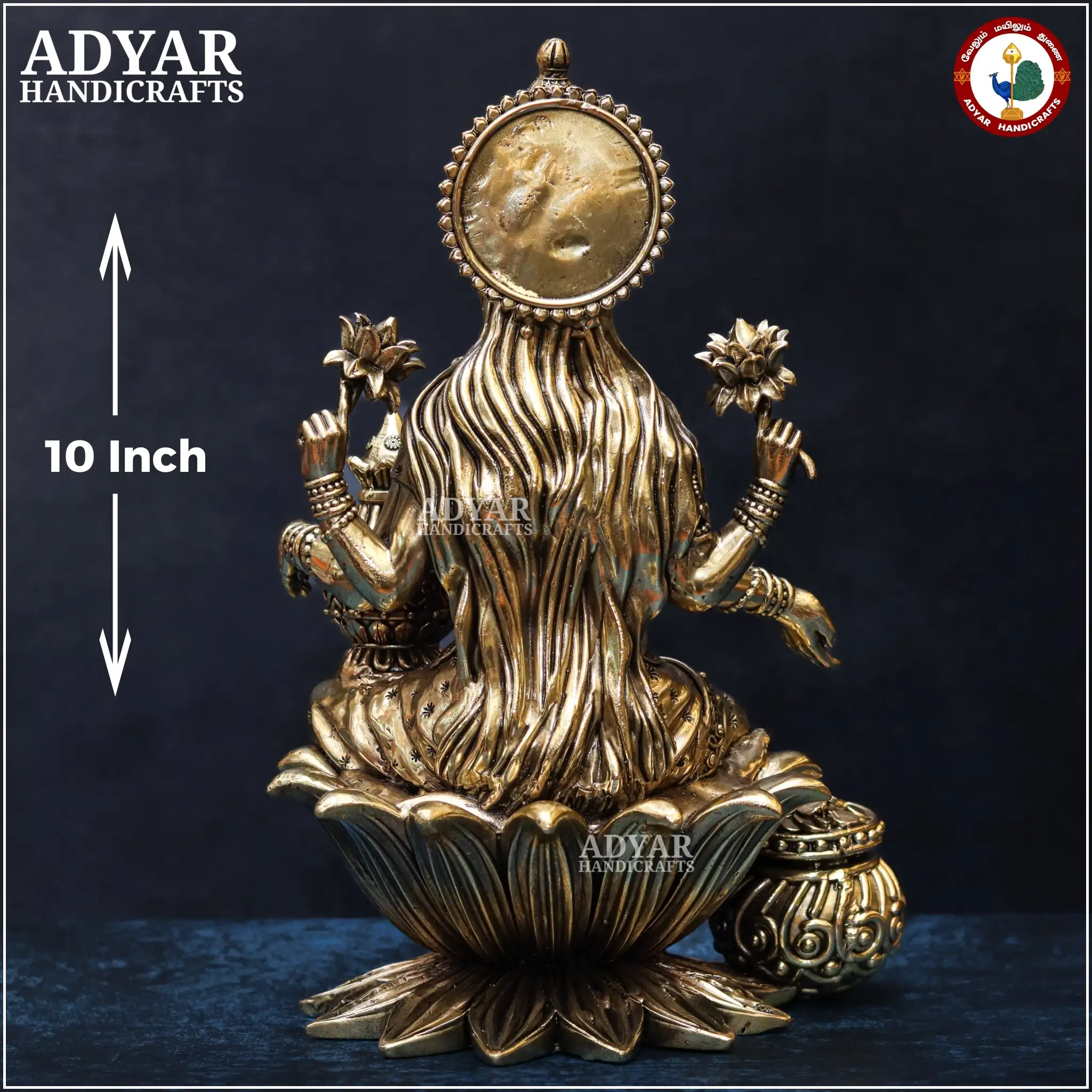 Lakshmi (Lite Weight Model) - image 4