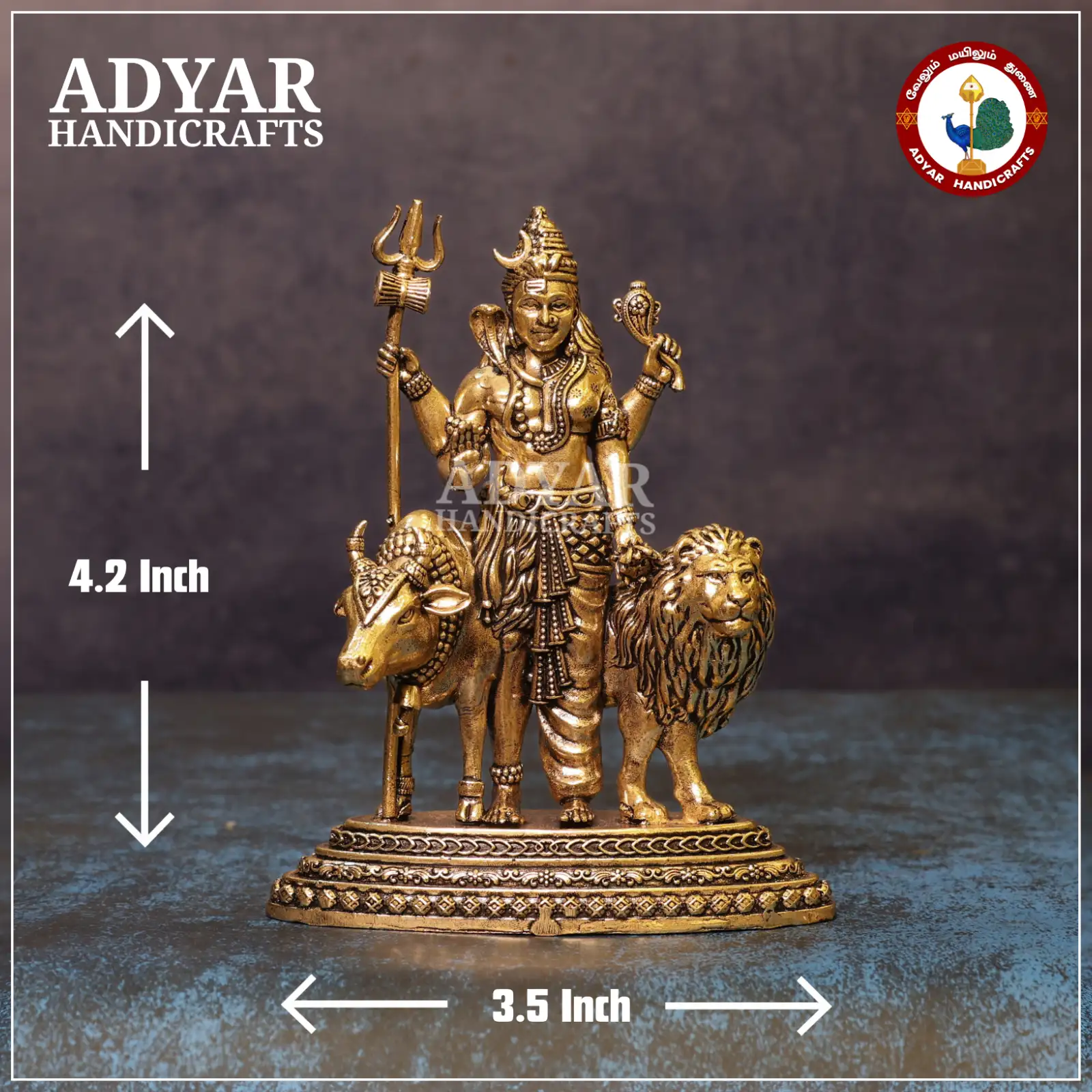 Ardhnarishwar